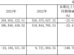 菲林格尔2023年营收3.95亿 董事会秘俞志豪薪酬36万
